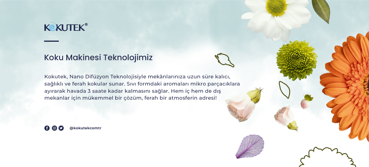 Hakkımızda 13 Hakkimizda
